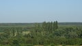 Mountain landscape, forest to the horizon. Pyramidal poplars. Background pictures.