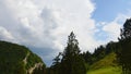 Mountain landscape with forested rocky cliff on the left and mountain meadow.