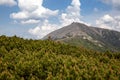 mountain landscape, Giant Mountains, Snezka, mountain path, dwarf mountain pine