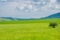 The mountain landscape of Greater Khingan mountain