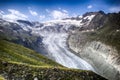 Mountain landscape with green fields and snowy peaks and wild glacier in the Swiss Alps Royalty Free Stock Photo