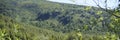 Mountain landscape with green forest, grass and blue sky. Royalty Free Stock Photo