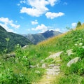 Mountain landscape. Andorra, Pyrenees. Royalty Free Stock Photo