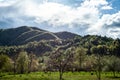 Mountain landscape with green grass, hills and trees, cloudy sky