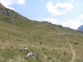 Mountain landscape green slopes and elevations