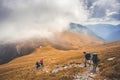 Mountain landscape. Hiking fagaras mountains in Romania. Carpathians, Transilvania, Romania, Europe. Transfagarasan road. Royalty Free Stock Photo