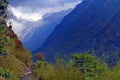 Mountain Landscape in Himalaya, Annapurna Base Camp track. Hills with forest, rhododendron bushes.