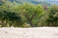 Mountain landscape - horizontal photo. Fruit trees on the slope of the mountain against the background of the mountain landscape