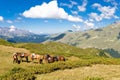 Mountain landscape with horses Royalty Free Stock Photo