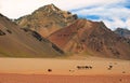 Mountain landscape with horses in front, Argentina Royalty Free Stock Photo