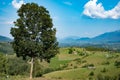 Mountain landscape house Royalty Free Stock Photo