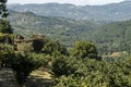 Summer landscape in Irpinia, Southern Italy