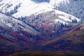 Mountain Landscape in Late Fall with Autumn Colors and First Snow Royalty Free Stock Photo