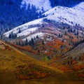 Mountain Landscape in Late Fall with Autumn Colors and First Snow Royalty Free Stock Photo