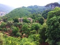 Mountain landscape in Lebanon green forest surrounding an old Monastery Saint Nicolas