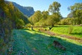 Mountain landscape with litlle bridge in The Dunaj Royalty Free Stock Photo