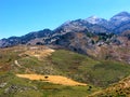 Mountain landscape with lone tree on yellow field