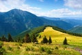 Mountain landscape with meadow between trees