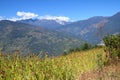 Mountain landscape with millet field on the foreground, Nepal