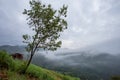 Mountain landscape in the morning, trees, hillside houses, fog, cool atmosphere. hill tribe houses in Thailand except for the