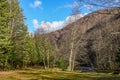 Mountain Landscape - muddy river crossing through the woods - blue sky