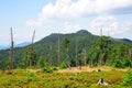 Mountain landscape in the National park Sumava, Czech Republic. Royalty Free Stock Photo