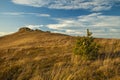 Mountain landscape nature scenic view fall season at September month highland rocks and small lonely spruce tree foreground space Royalty Free Stock Photo