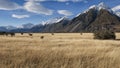 Mountain landscape, New Zealand