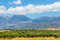 Mountain landscape with olive plantation, Crete