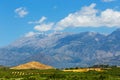 Mountain landscape with olive plantation, Crete
