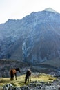 mountain landscape with a pair of horses Royalty Free Stock Photo