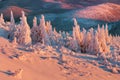 Mountain landscape panoramic view with blue sky Gorgeous winter sunset in mountains, Alps. Colorful outdoor scene, Christmas. Royalty Free Stock Photo