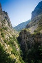 Mountain landscape, Picos de Europa, Asturias, Spain Royalty Free Stock Photo