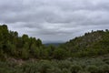 Mountain landscape with pine trees and clouds Royalty Free Stock Photo