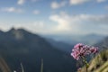 Mountain landscape and purple flower