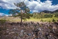 Mountain landscape with pyramids of stones. Altai republic