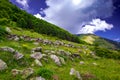 Mountain landscape in the Pyrenees. Royalty Free Stock Photo