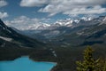 Mountain landscape in the Rockies with Peyto lake Royalty Free Stock Photo