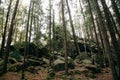 Mountain landscape with rocks in Carphatian mountains, Royalty Free Stock Photo