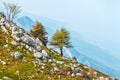 Mountain landscape with rocky stone and autumn