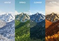 Mountain landscape segmented into four vertical panels representing seasons: Royalty Free Stock Photo