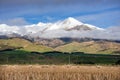 Rural landscape with sheep grazing, snow capped mountains and blue, cloud sky Royalty Free Stock Photo