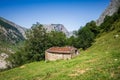 Mountain landscape and sheepfold, Picos de Europa, Asturias, Spain Royalty Free Stock Photo