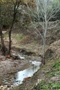 Mountain landscape with small creek in Carricola Royalty Free Stock Photo