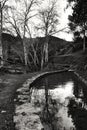 Mountain landscape with small creek in Carricola Royalty Free Stock Photo