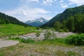 Mountain landscape, a small mountain river with rocky banks, cows grazing on green meadows. Royalty Free Stock Photo