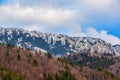 Mountain landscape - snow on the mountain peaks, blue sky , pine forest - beech forest - Piatra Craiului Royalty Free Stock Photo