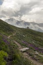 Mountain landscape with snow peaks and green valley