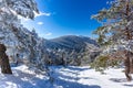 Mountain landscape with snow a sunny day and blue sky. winter photo. Snow storm in the mountains. Royalty Free Stock Photo