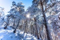 Mountain landscape with snow a sunny day and blue sky. winter photo. Snow storm in the mountains. Royalty Free Stock Photo